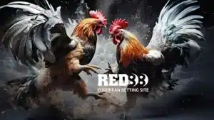 Tìm hiểu về đá gà tại sảnh cược online Red88